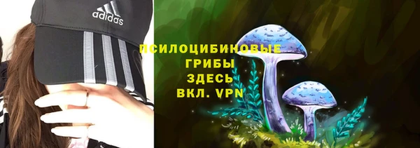 дурь Вязники