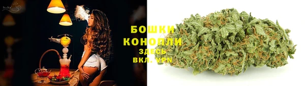 эйфоретик Вяземский
