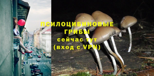 ALPHA-PVP Вязьма