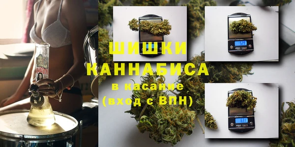 эйфоретик Вяземский