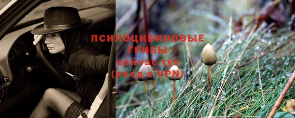 дурь Вязники