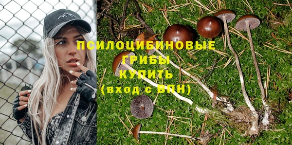 а пвп мука Володарск