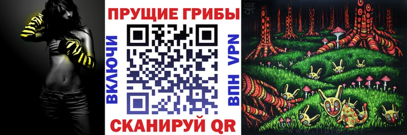 Галлюциногенные грибы Psilocybine cubensis  Назрань 